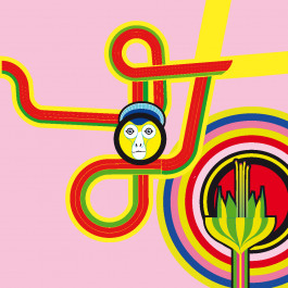 anne rapp illustration