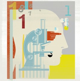 anne rapp illustration