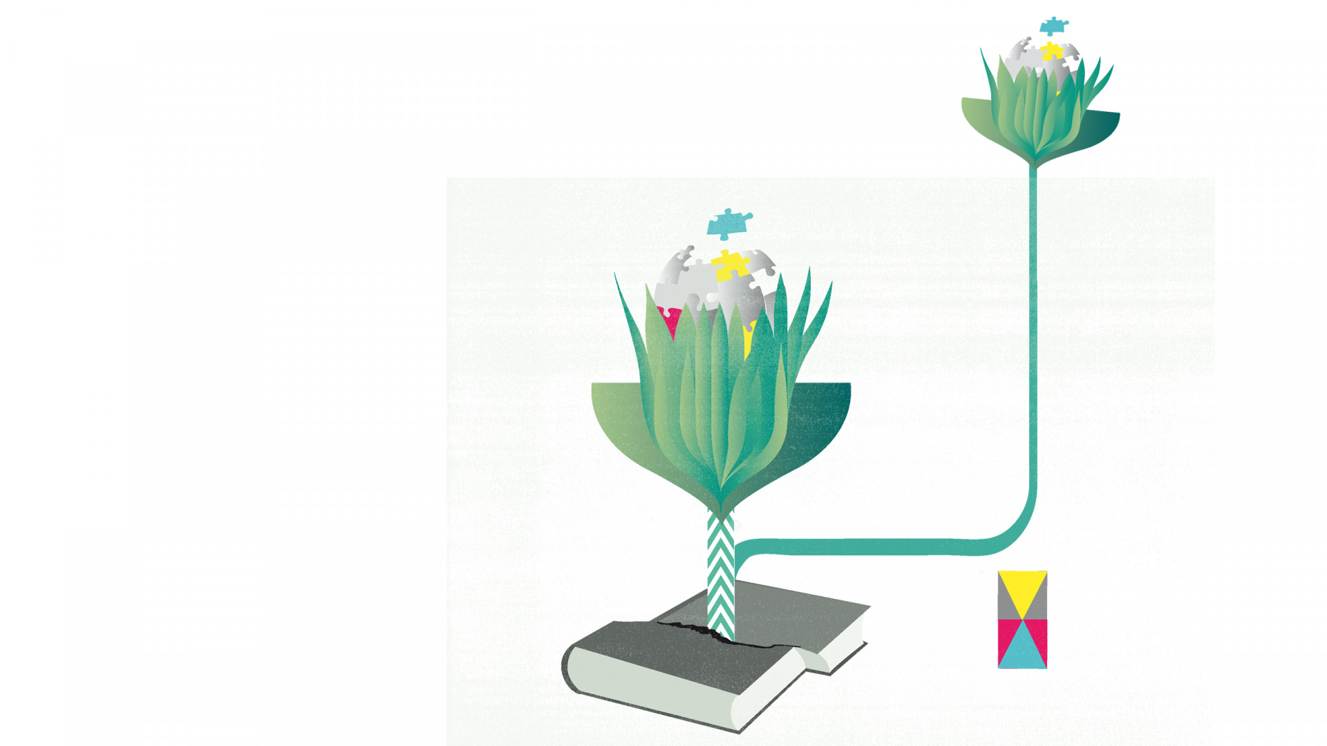 anne rapp illustration