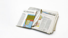 anne rapp illustration