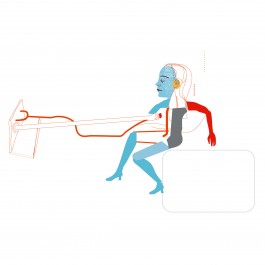 anne rapp illustration