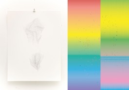 anne rapp illustration