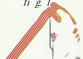 anne rapp illustration