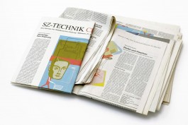 anne rapp illustration