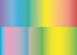 anne rapp illustration