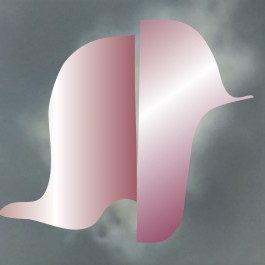 anne rapp illustration