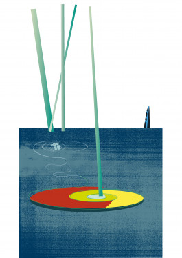 anne rapp illustration