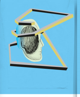 anne rapp illustration