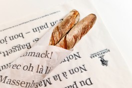 anne rapp illustration