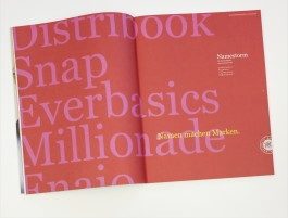 anne rapp illustration