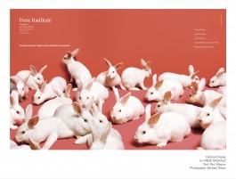 anne rapp illustration