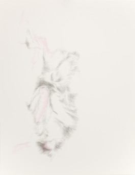 anne rapp illustration